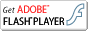 Adobe�@FLASHPLAYER